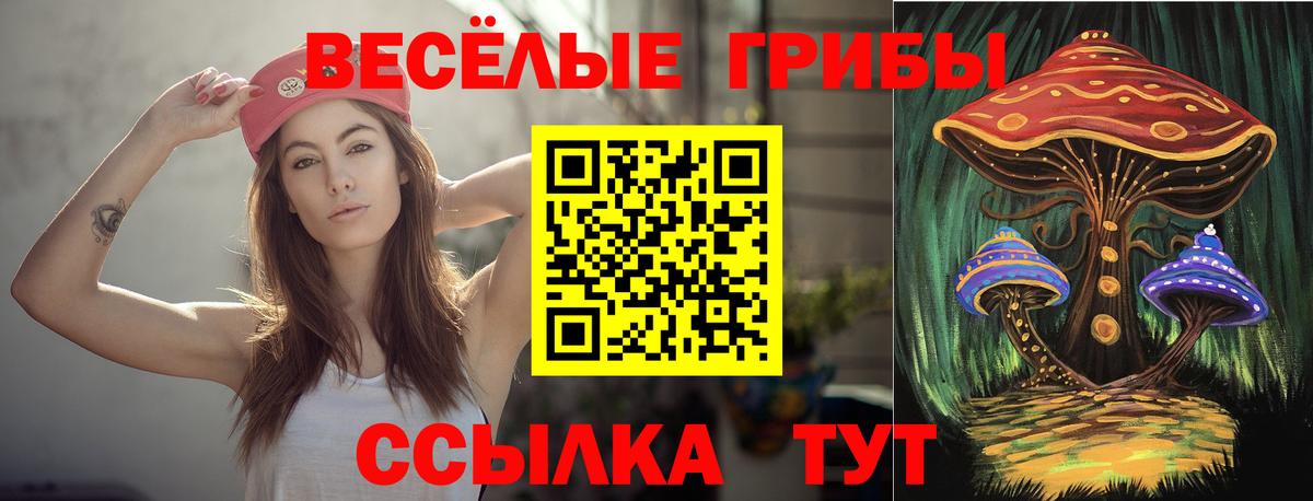 Псилоцибиновые грибы Cubensis  Вход с VPN  Псилоцибиновые грибы Cubensis  Барнаул 